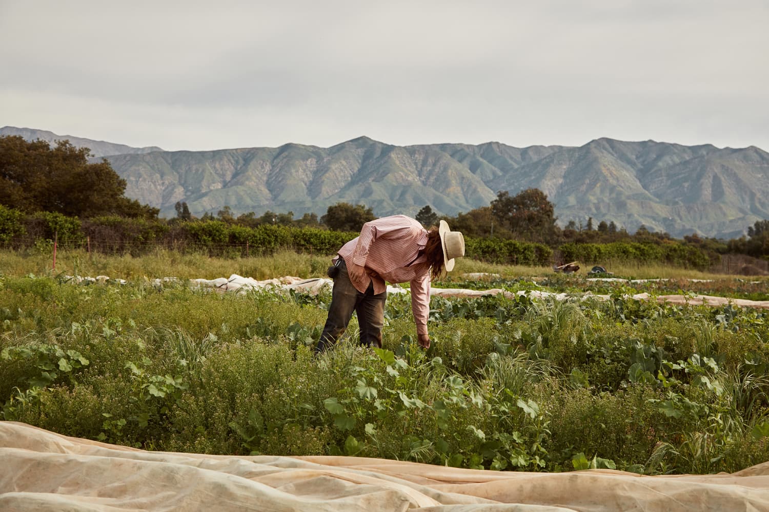 Monocle Ojai California editorial photography by Cody James