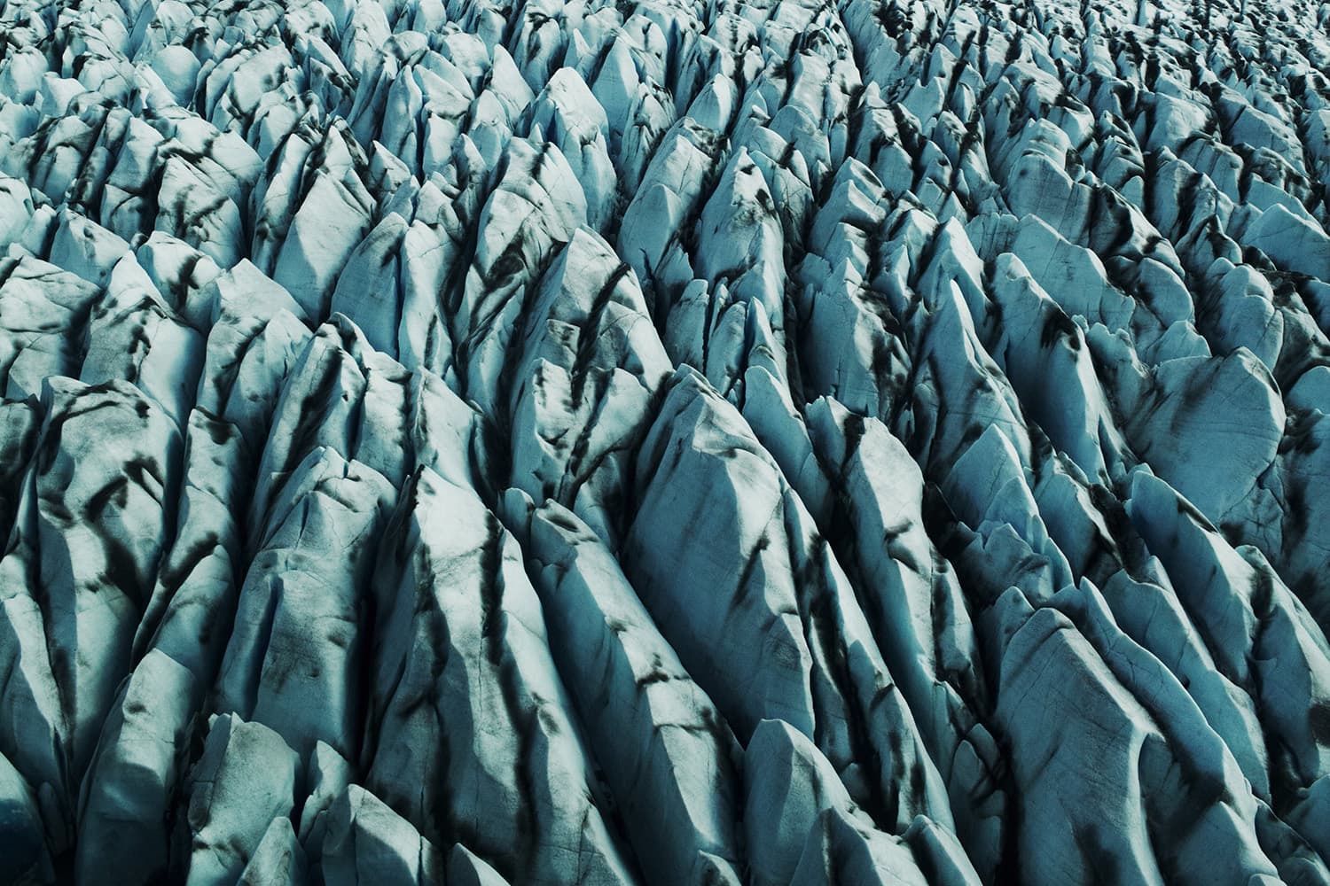 Wingnuts editorial photography by Cody James