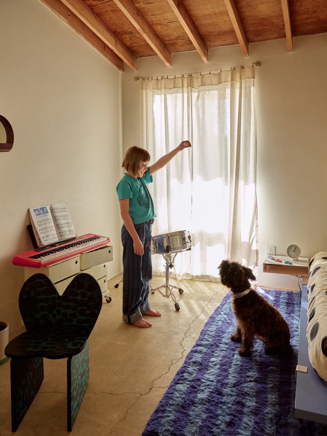 Child holding a treat for a curly haired dog in a sunlit bedroom with a keyboard and drums