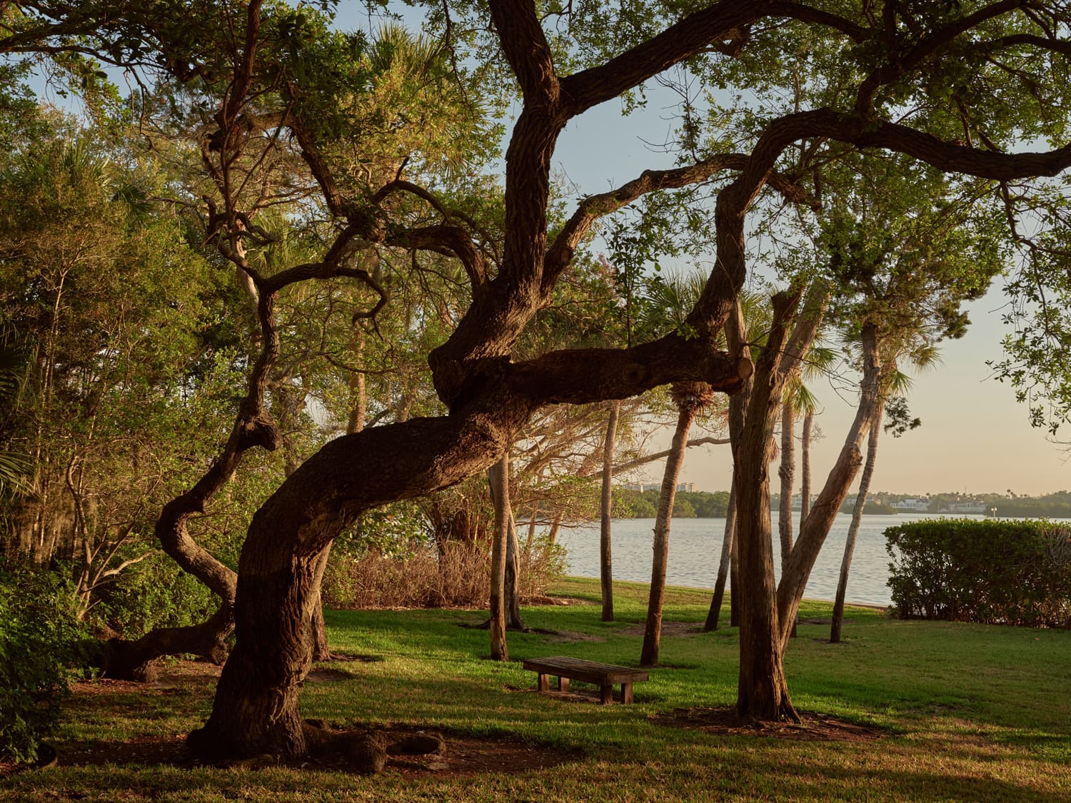 open space series burkardt cohen residence architecture interior photography cody james 06