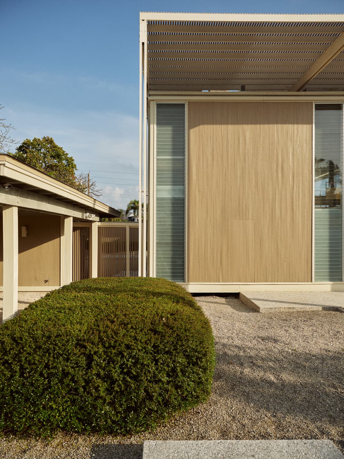 Umbrella House exterior with bamboo panel, slatted overhang, manicured hedge, and gravel yard