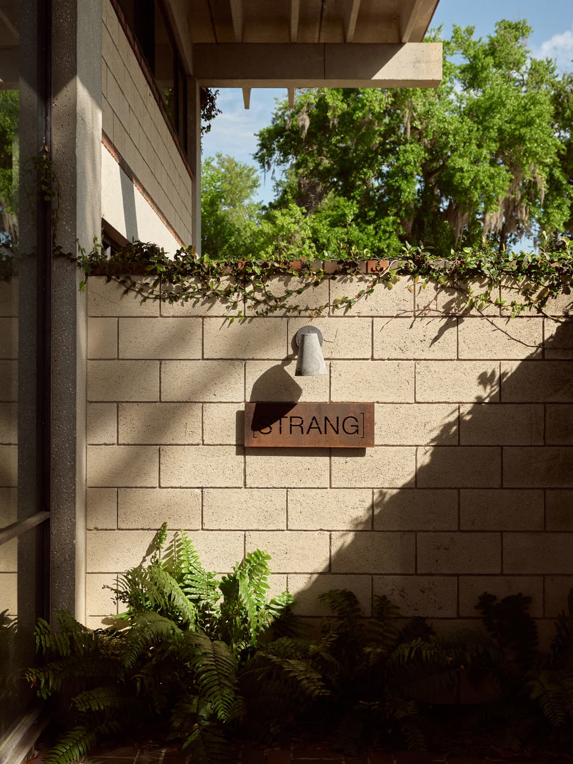 Strang Design Office entry sign on concrete block wall with sconce light, ferns, and trailing vines